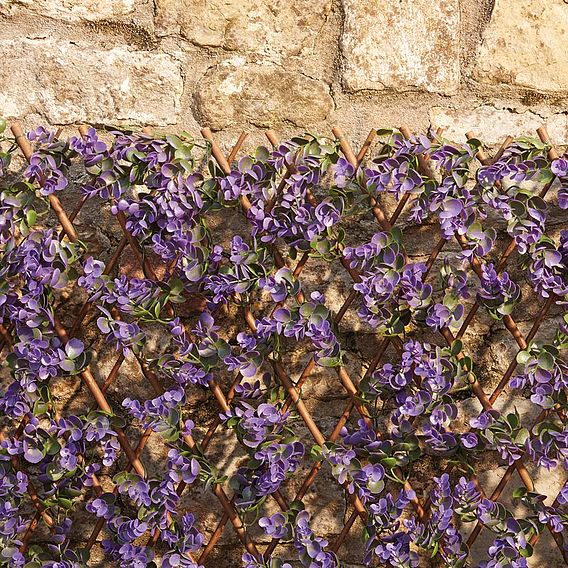 Expandable Artificial Hedge Trellis - Purple Lavender